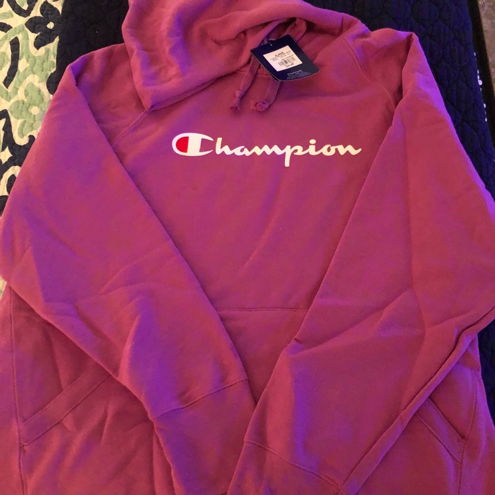 Ladies Champion Hoodie